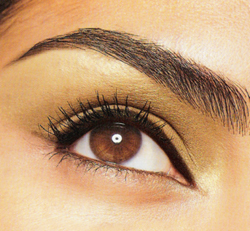 Brow Wow: Get Fab Brows With These Tips From Expert Reema Khan!