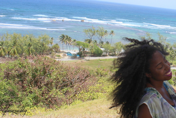 Barbados Tour Review Jessica C. Andrews Glamazons Blog