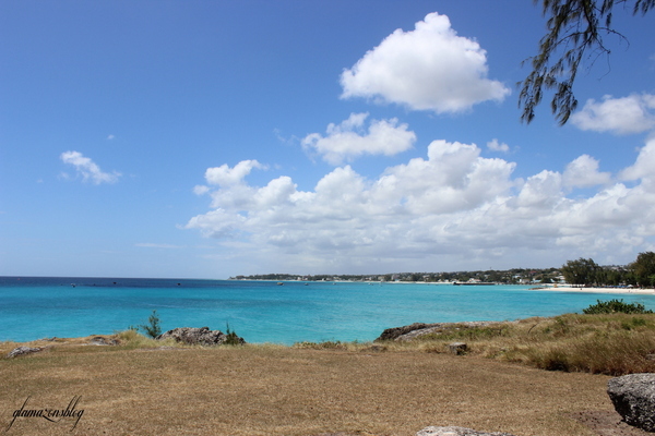 Barbados Tour Review Miami Beach