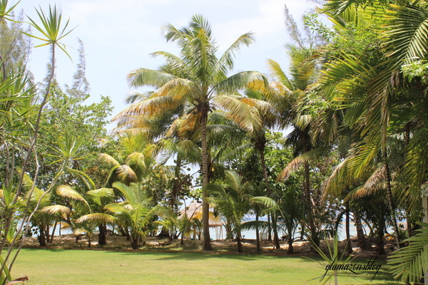 jamaica-montego-bay-coyaba-beach-resort-glamazons-blog-6