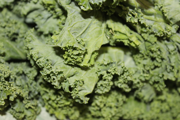 kale-juicing-recipe-nutribullet-glamazon-fitness-glamazons-blog